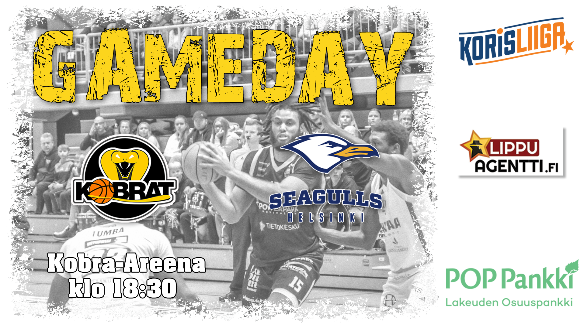 Gameday Seagulls spring 26